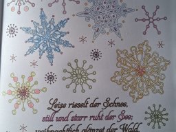 whatsapp image 2025-12-22 at 13.24.57